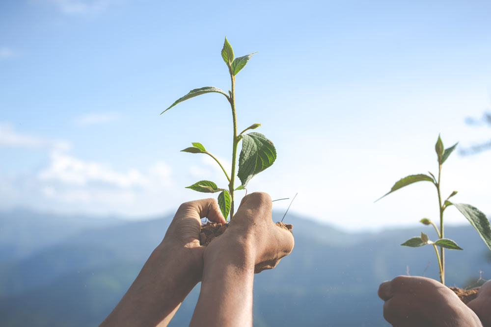 Arte conceptual de un hombre plantando para el futuro mediante la participación en prompts de diario.