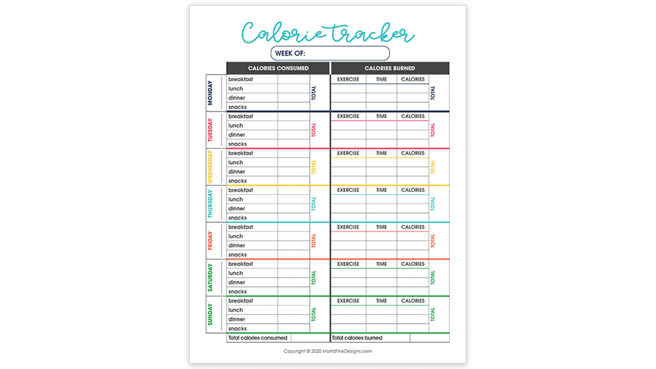 plantilla de planificador de salud y fitness